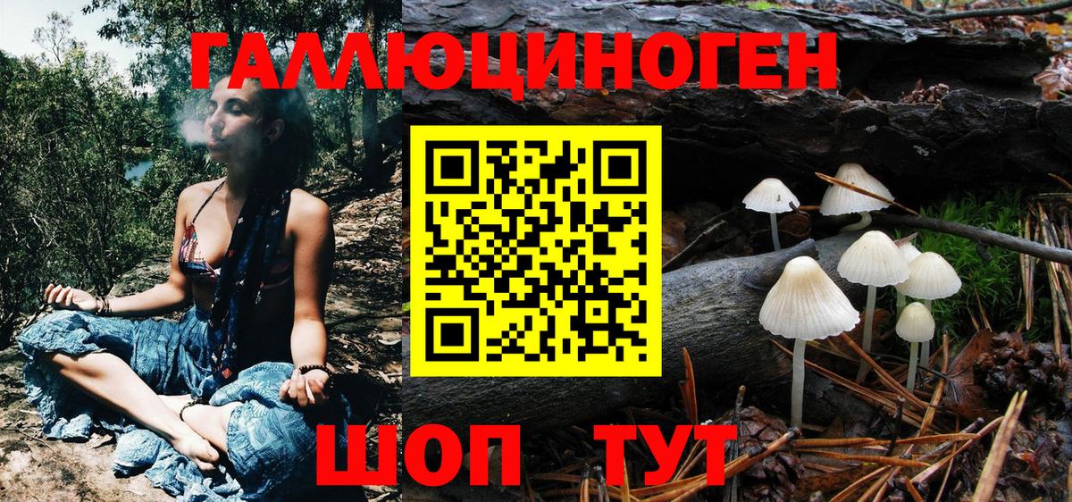 Псилоцибиновые грибы Cubensis Анапа