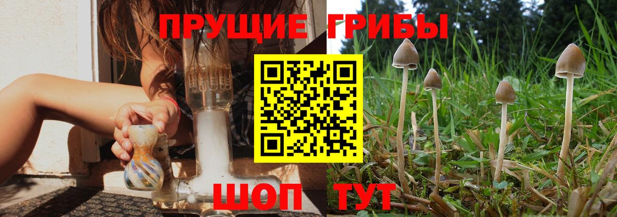 Псилоцибиновые грибы мицелий  хочу наркоту  Вход с VPN  Анапа  Галлюциногенные грибы прущие грибы 